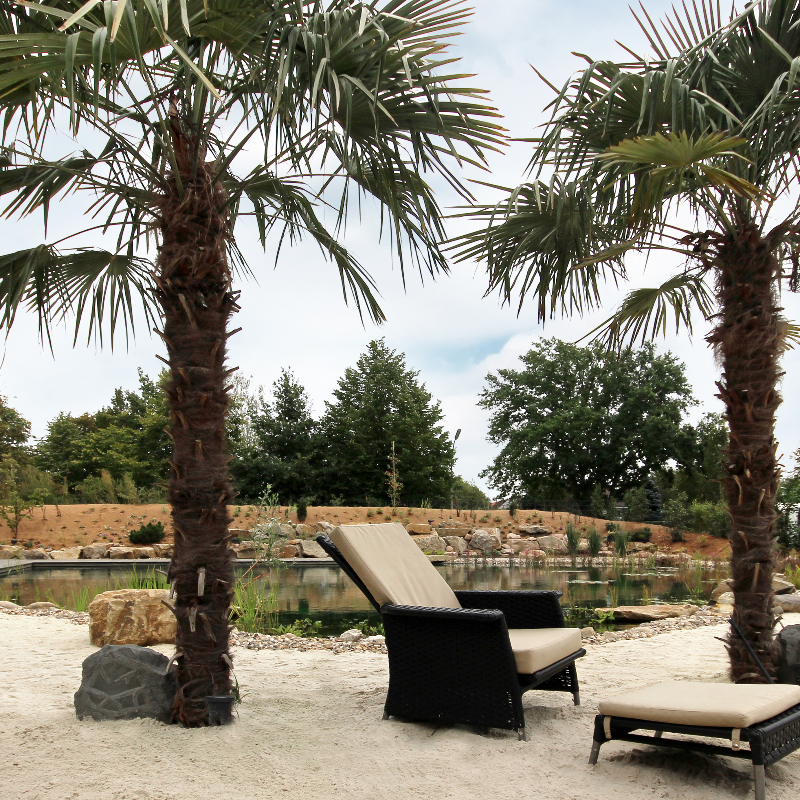 Thieken - INNEN UND AUSSEN WERDEN EINS Thieken - INNEN UND AUSSEN WERDEN EINS